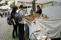 MAS Železnohorský region