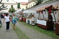 MAS Železnohorský region