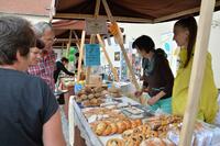 MAS Železnohorský region