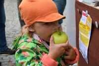 MAS Železnohorský region