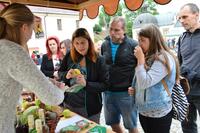 MAS Železnohorský region