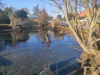 Časy